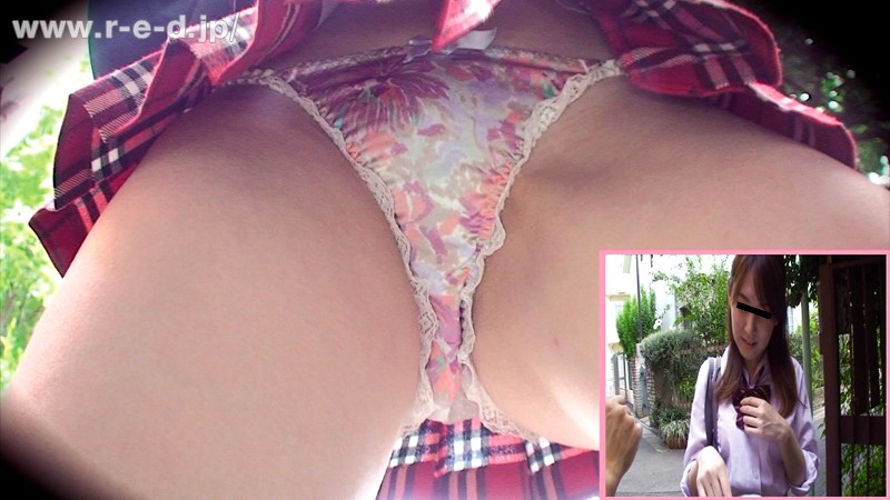 サンプル画像 3