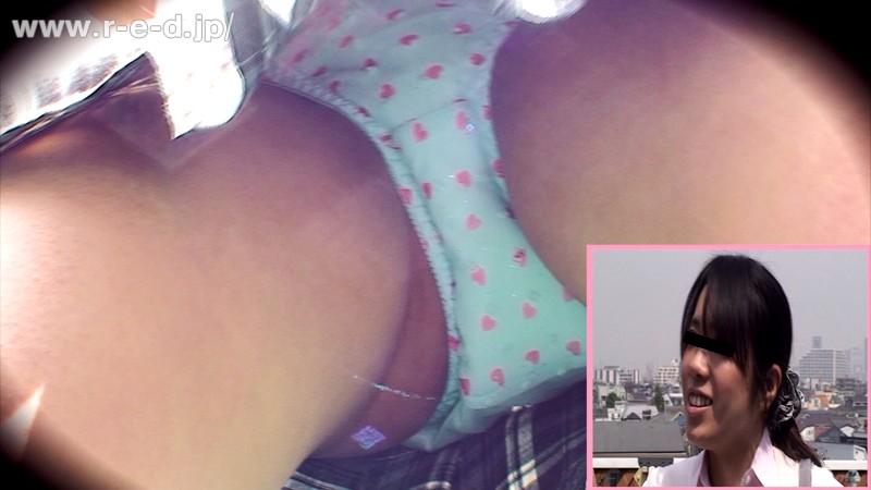 サンプル画像 9