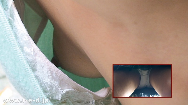 サンプル画像 3