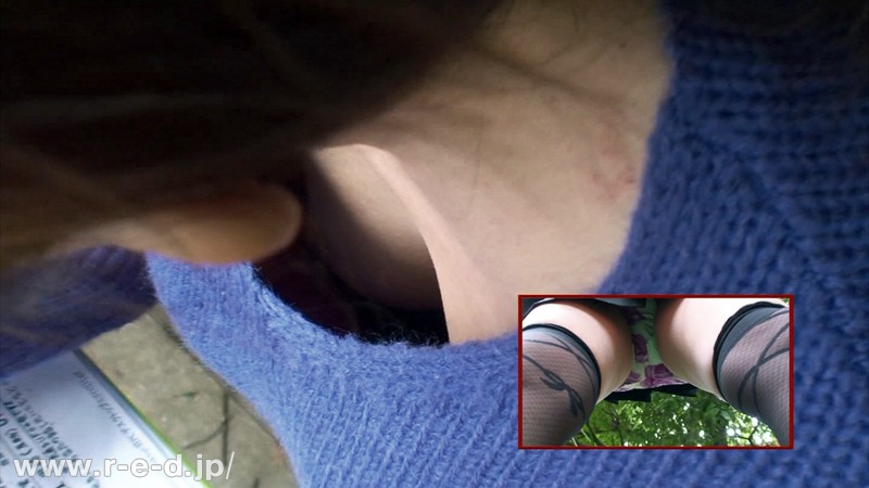 サンプル画像 5