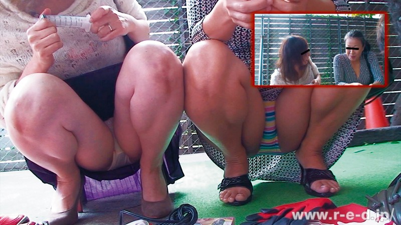 サンプル画像 9