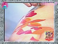 サンプル画像 10