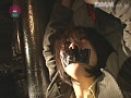 サンプル画像 8