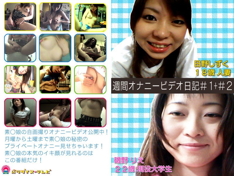 サンプルプレビュー