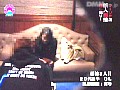 サンプル画像 13