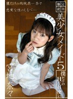 サムネイル画像