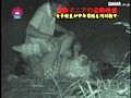 サンプル画像 11