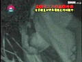 サンプル画像 12