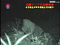 サンプル画像 13