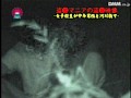 サンプル画像 7