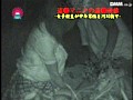 サンプル画像 8