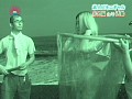 サンプル画像 39