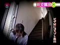 サンプル画像 12