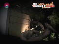 サンプル画像 30
