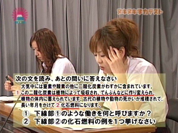 サンプル画像 10