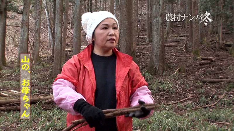 サンプル画像 8