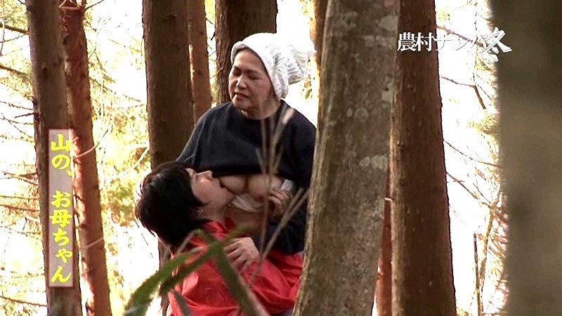 サンプル画像 9