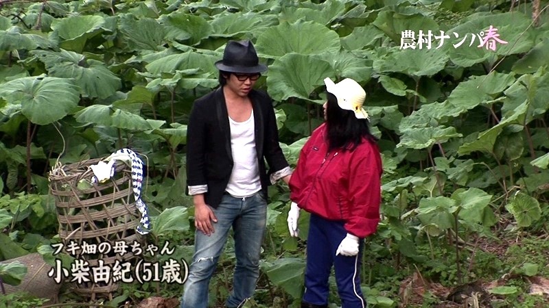 サンプル画像 17