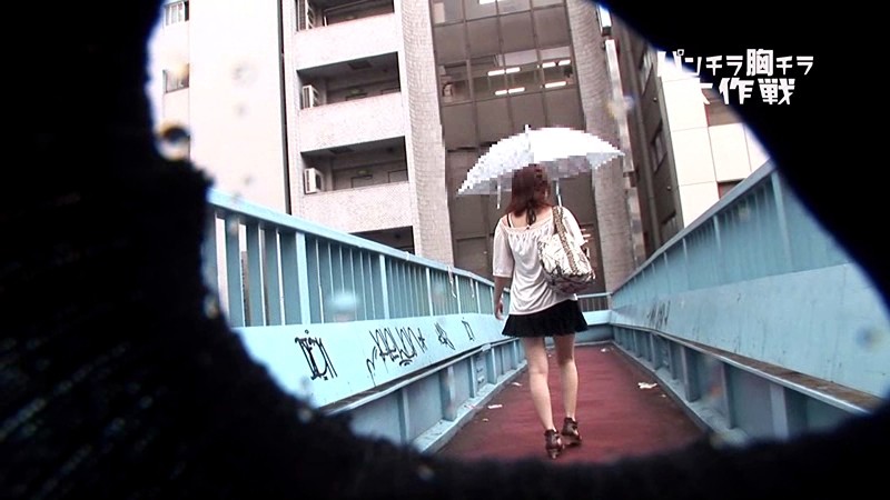 サンプル画像 10