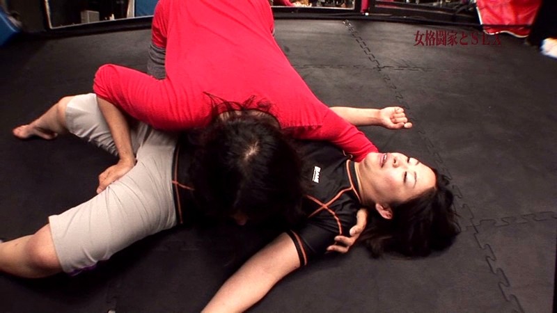 サンプル画像 13