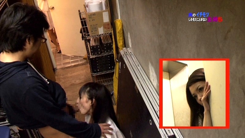 サンプル画像 14