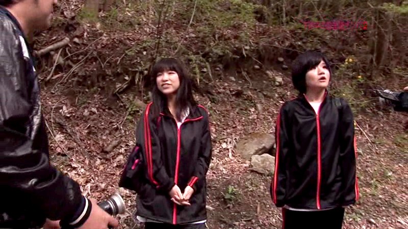 サンプル画像 12