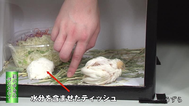 サンプル画像 5