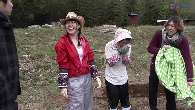 サンプル画像 3