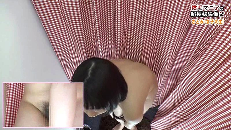 サンプル画像 16