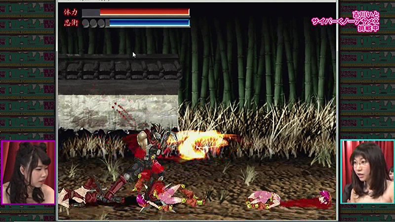 サンプル画像 14