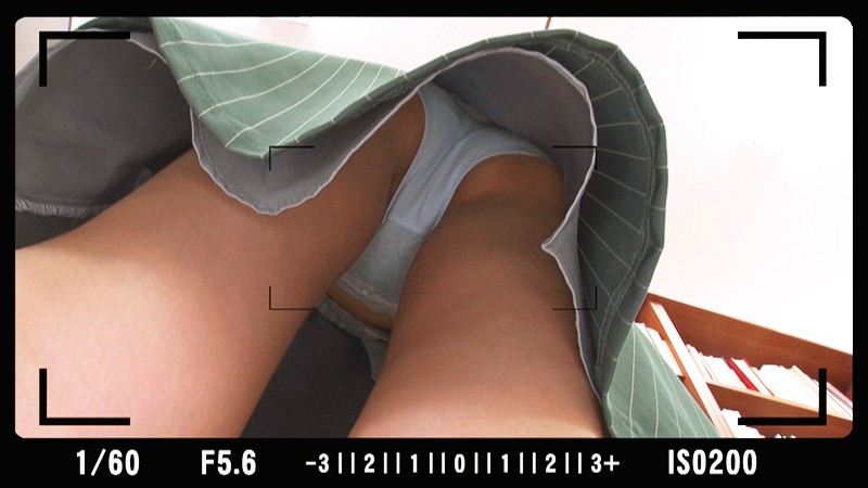 サンプル画像 4