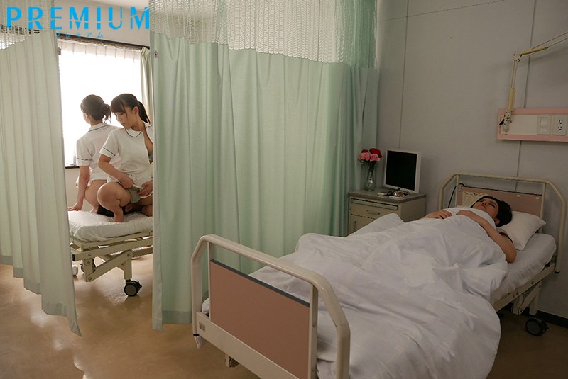 サンプル画像 6