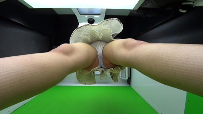 サンプル画像 10