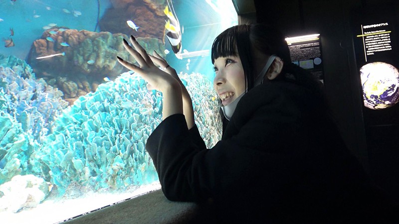 サンプル画像 4