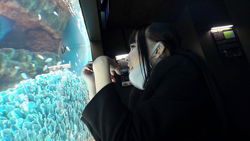 サンプル画像 5