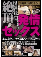 パッケージ画像