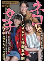 パッケージ画像