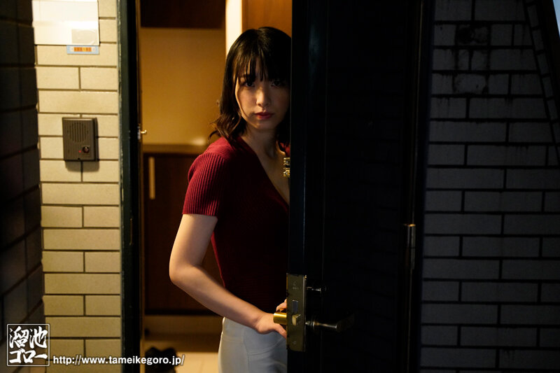 サンプル画像 6