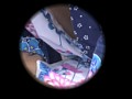 サンプル画像 24