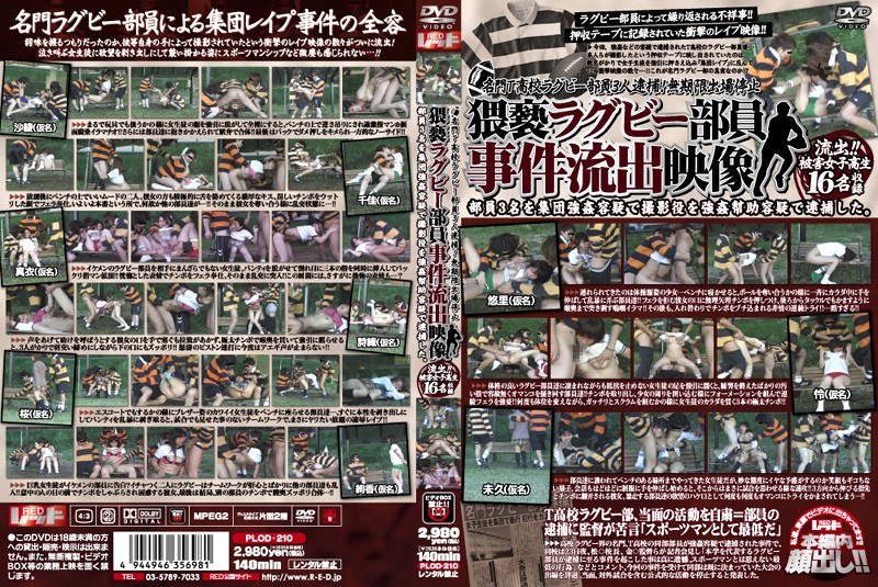 サンプルプレビュー