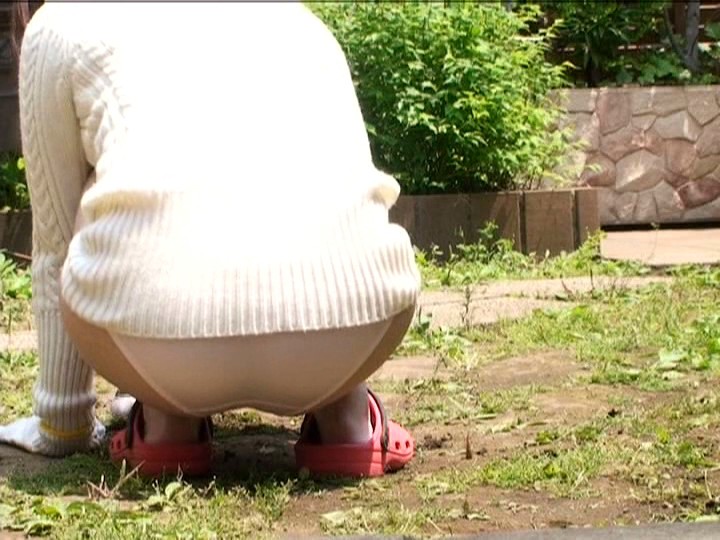 サンプル画像 15