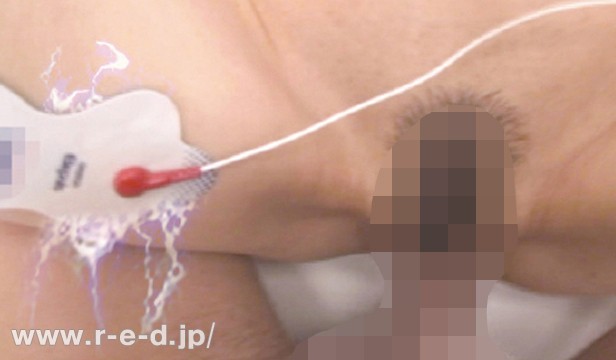 サンプル画像 11