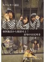 パッケージ画像