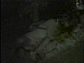 サンプル画像 12
