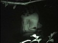サンプル画像 36