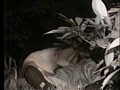 サンプル画像 39