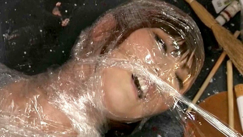 サンプル画像 15