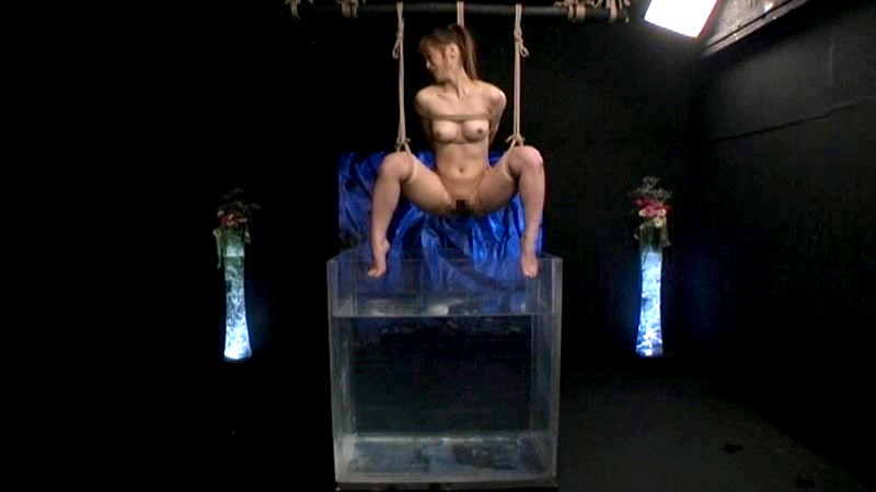 サンプル画像 14