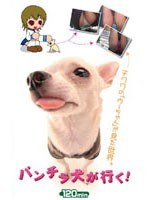 パッケージ画像