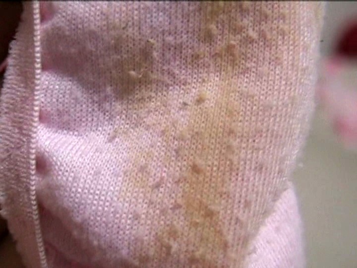 サンプル画像 11